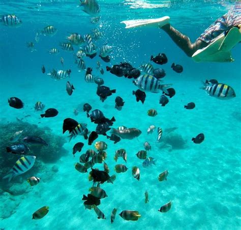 Bali: All-Inclusive Snorkeling At Blue Lagoon Beach