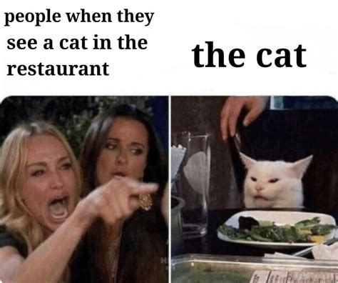 Cat in a restaurant : antimeme