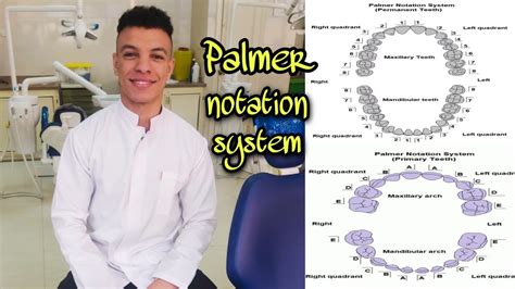 شرح Palmer notation system - YouTube