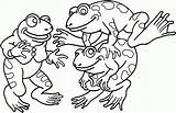 Leap Frog Coloring Pages  Nation sketch template