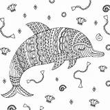 A Beautiful Dolphin coloring Page  Download Print Or Color Online For sketch template