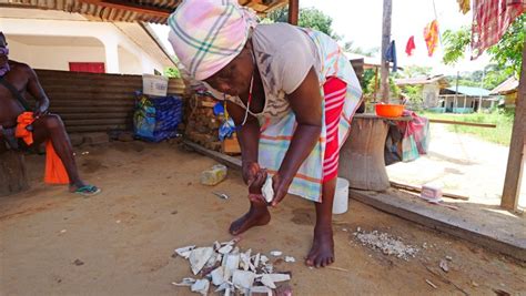 Suriname Language: A Rich Melting Pot of Cultures - David's Been Here