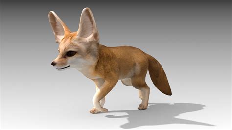 Fennec in Characters - UE Marketplace