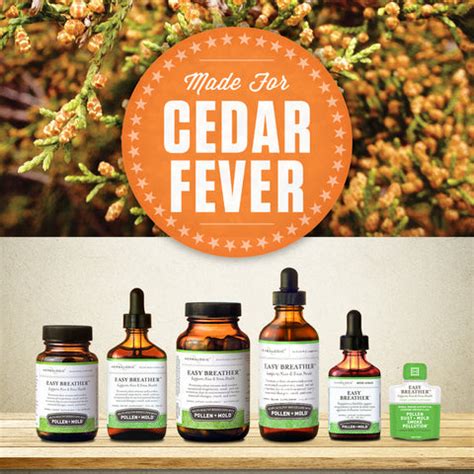 Cedar Fever: How to Power Through Cedar Pollen Season Naturally ...