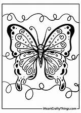 Very Detailed Butterfly Coloring Pages sketch template