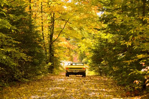 Scenic Autumn Drives Engineered for Maximum Leaf Peeping! | HuffPost