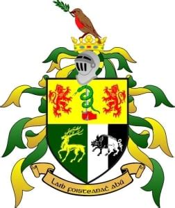 Irish Coat of Arms Guide: A Family Crest Test - Tenon Tours