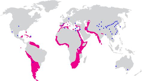 Map of the global distribution of flamingo habitats and haloarchaeal... | Download Scientific ...