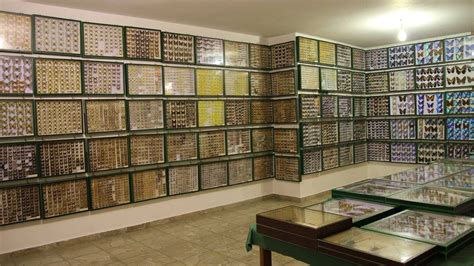 Entomological Museum of Volos - Hotel Filoxenia