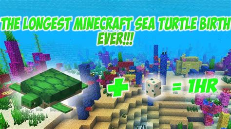 Minecraft | LONGEST SEA TURTLE BREEDING!!! - YouTube