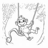 Premium Vector  Monkey swinging On A swing Illustration sketch template