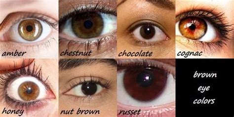 Pin by Samantha Cole on Fiction | Eye color chart, Eye color, Green eyes