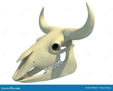 Bison Skull Anatomy 3D Rendering Stock Illustration - Illustration of horn, clothing: 252749882