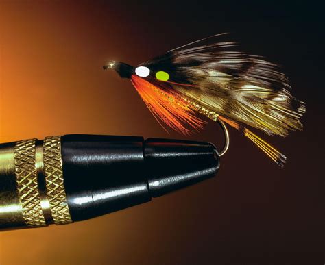 What is a dry fly in fly fishing - The Fishing Essentials