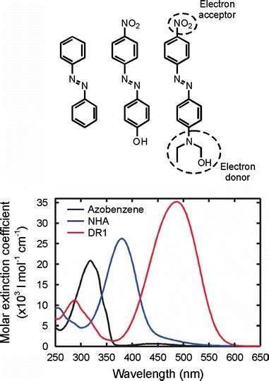 Azobenzene photomechanics: prospects and potential applications | SpringerLink