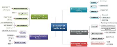 Biomarkers of Aging