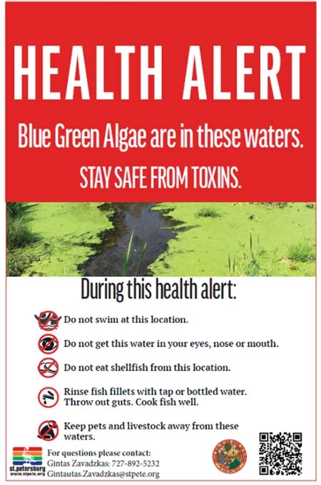 DOH-PINELLAS ISSUES BLUE-GREEN ALGAE BLOOM ALERT FOR PASADENA LAKE ...