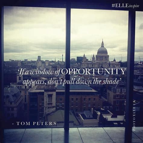 Window of opportunity | Live and learn quotes, Quote posters, Opportunity knocks