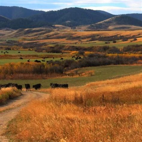 Where to Go for Fall Colors in Montana | Recommended By Montanans