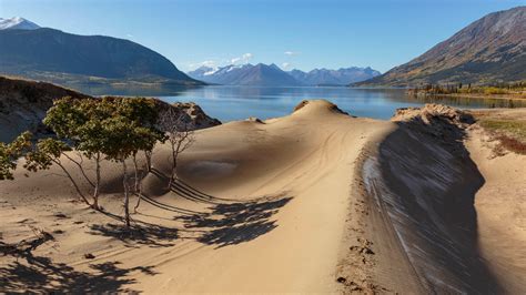 The World's Smallest Desert Is in ... Canada? | The Weather Channel