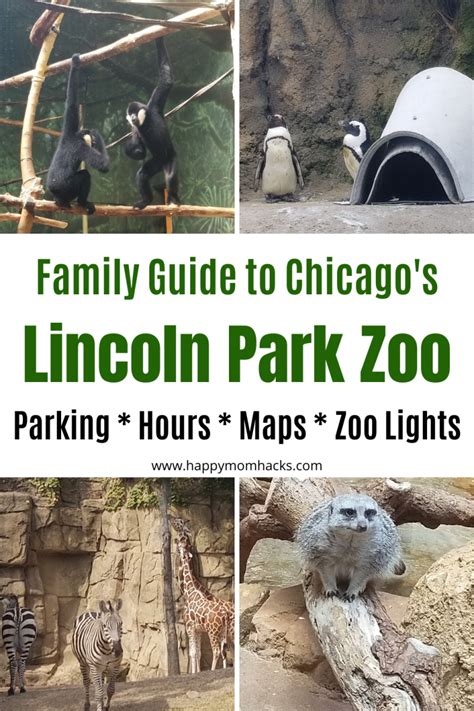 Lincoln Park Zoo Chicago -Parking, Hours, Map & Zoo Lights | Happy Mom Hacks