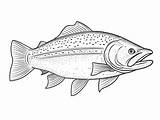 Lake Trout In Nature Coloring Page  sketch template