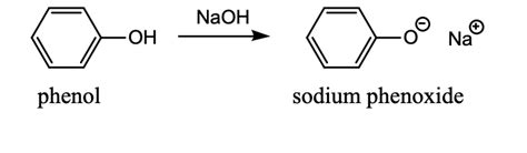 Solved Treating phenol with sodium hydroxide leads to the | Chegg.com