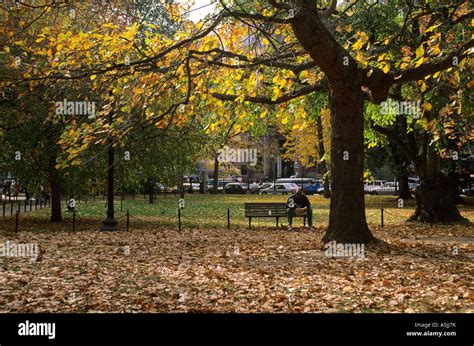 Fall colors in Boston, Massachusetts, USA Stock Photo - Alamy