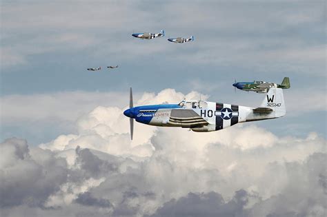 P51 Mustang - Blue Noses - 352nd FG Digital Art by Pat Speirs - Pixels