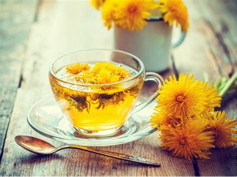 Dandelion Tea For Health: What Are The Benefits Of Dandelion Tea