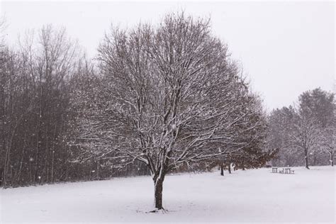 Winter Photography