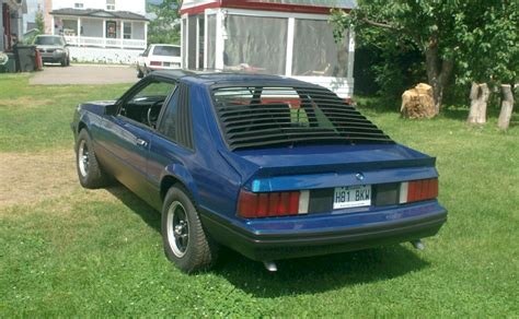 Blue 1981 Ford Mustang Cobra Optioned Hatchback - MustangAttitude.com Photo Detail