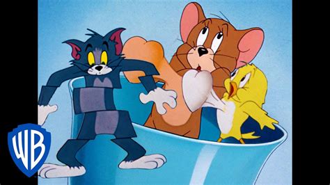 Tom Jerry Bird Attack! Classic Cartoon Compilation WB Kids | atelier ...