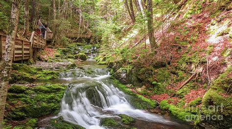 Fundy Park waterfall Photograph by Claudia M Photography - Fine Art America