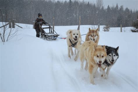 Quebec City Winter Fun for Families