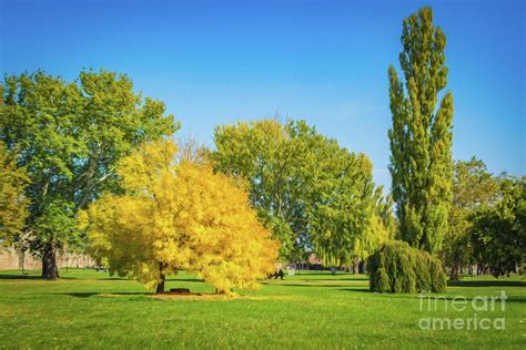 Beautiful Colorful Green And Yellow Autumn Leaves as painting Digital ...