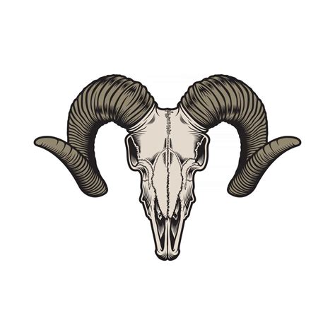 Goat Skull Vector Graphic 2423572 Vector Art at Vecteezy