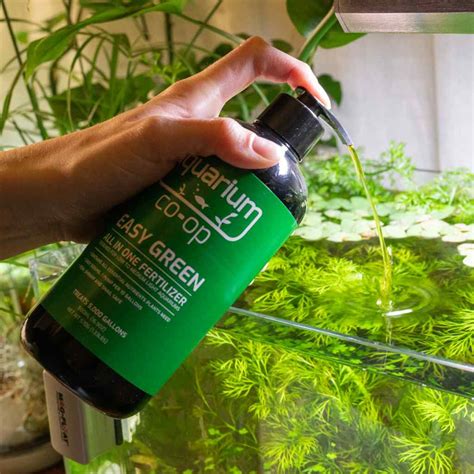 Which Planted Tank Fertilizer Is Right for You? | Aquarium Plants 101 ...