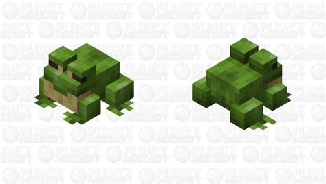 frog Minecraft Mob Skin