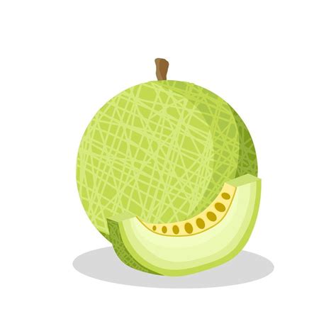 Melon fruit illustration image. Melon fruit icon, fruits 9195560 Vector Art at Vecteezy