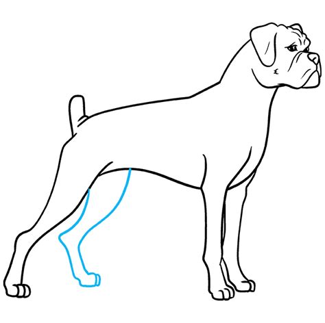 How to Draw a Boxer Dog - Really Easy Drawing Tutorial