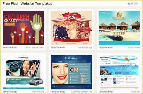 Flash Website Template