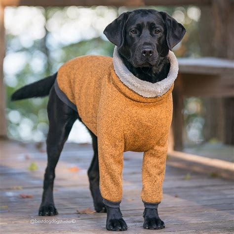 Fleece Dog Coat | Best Dog Coats and Jackets | 2020 | POPSUGAR Pets Photo 2