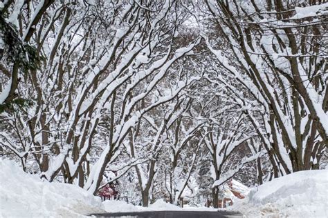 Buffalo snow: Western New York digs out from up to 6 feet of ...