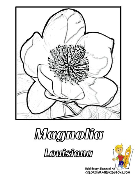 Idaho State Flower Coloring Page - Gail McPherson's Coloring Pages