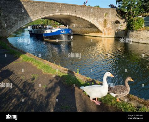 The Thames at Abingdon, early on a summer morning. A houseboat passes ...