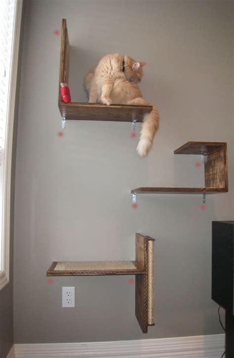 New house | Cat climbing wall, Cat diy, Cat furniture