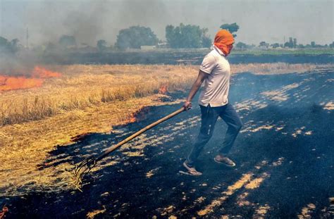 Bringing an end to stubble burning - The Hindu BusinessLine