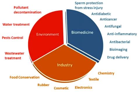 A wide variety of applications of ZnO nanoparticles in biomedicine ...