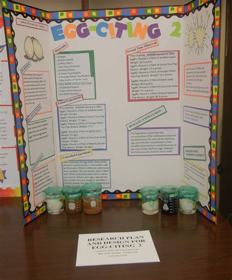 Biology Science Fair Projects